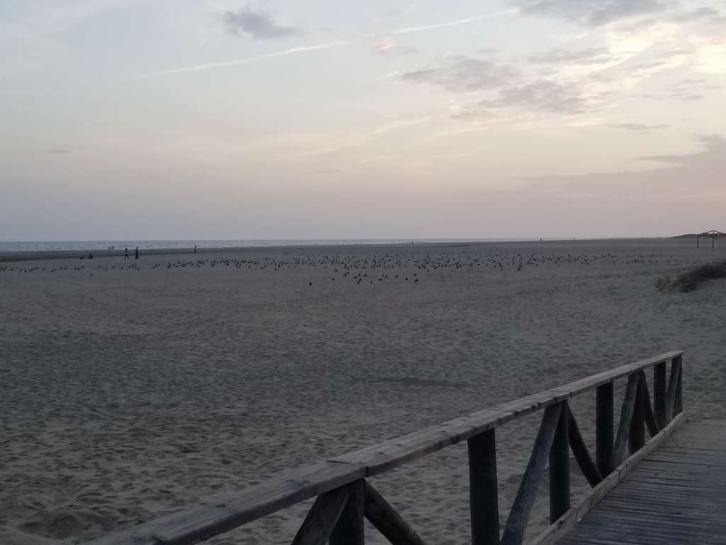 Playa