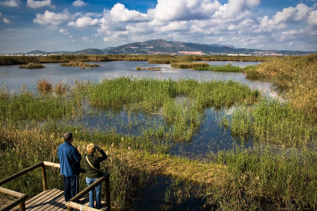 Marjal dels Moros - Protected wetland area at Sagunt (10 minutes by car)