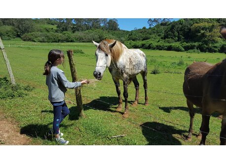 Dando de comer a los caballos de un vecino, Oreña