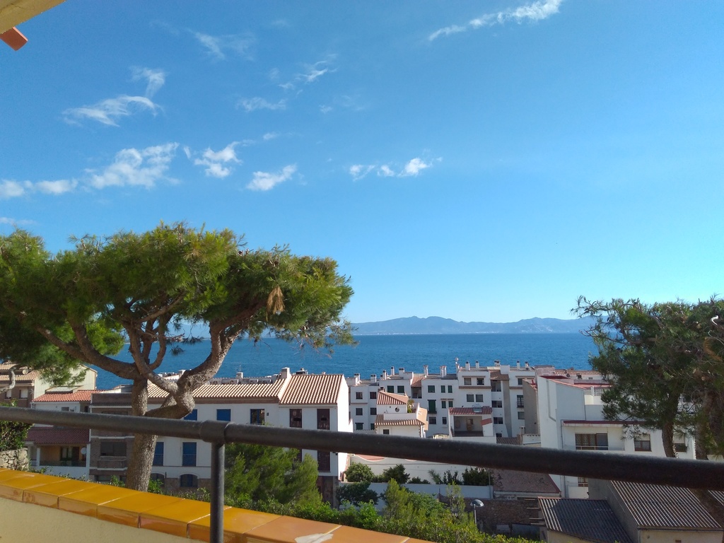 View from the terrace