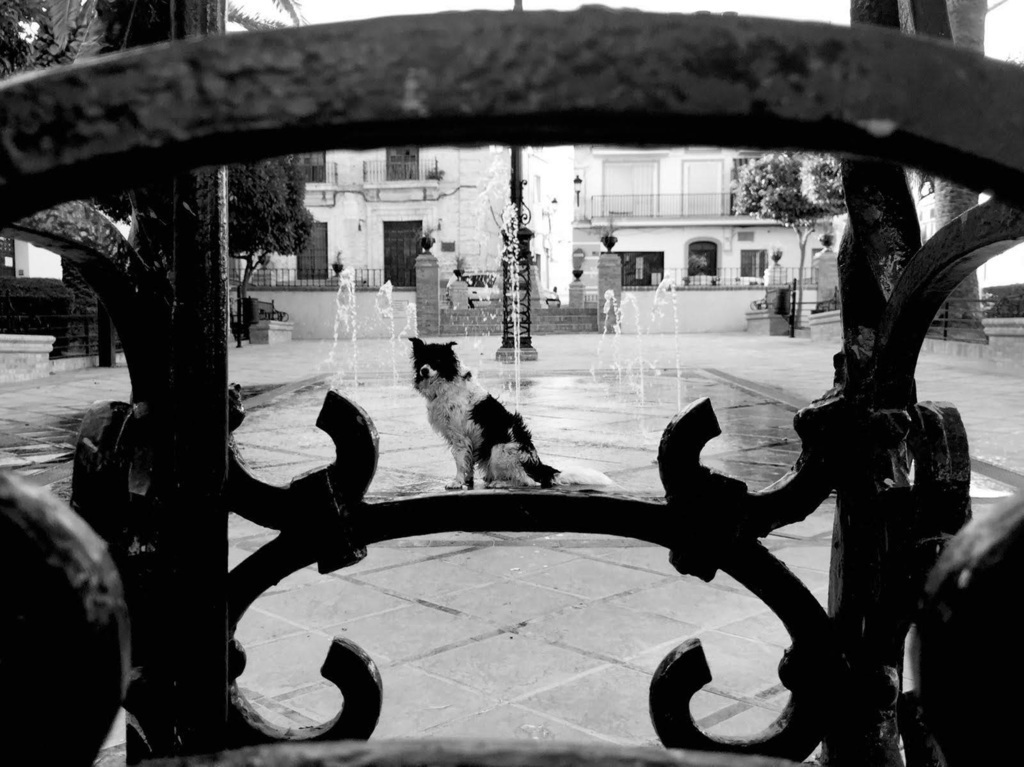 Fuentes de Andalucía