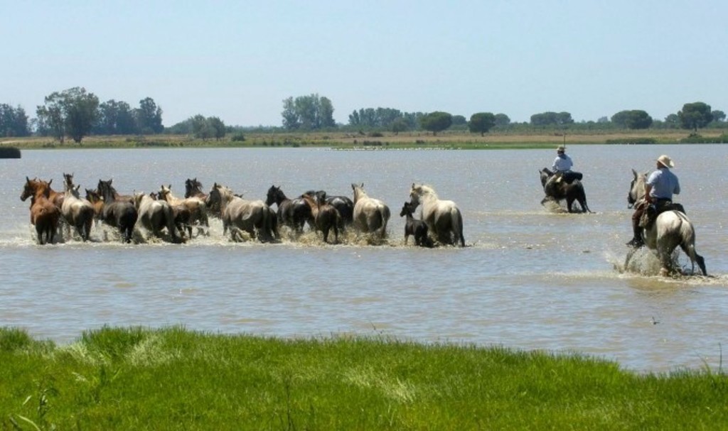 Parque natural Doñana, Huelva. A 1 hora y media en coche