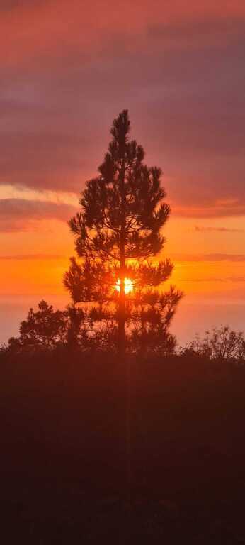 Winter sun above Adeje (La Quinta)