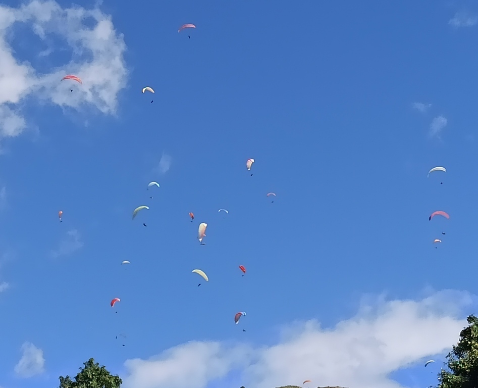 Paragliding above Adeje