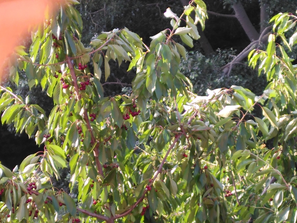 Vistas de una habitación en primavera.
