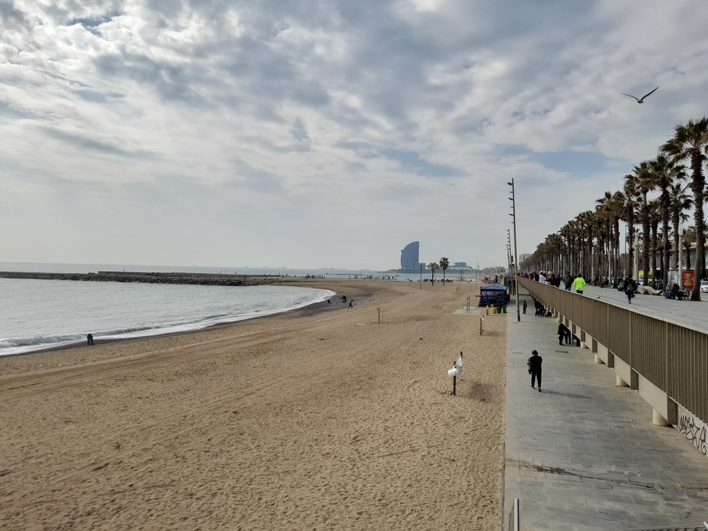 La playa a 20 minutos a pie o en bici 
