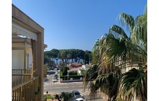 Vistas desde el salón