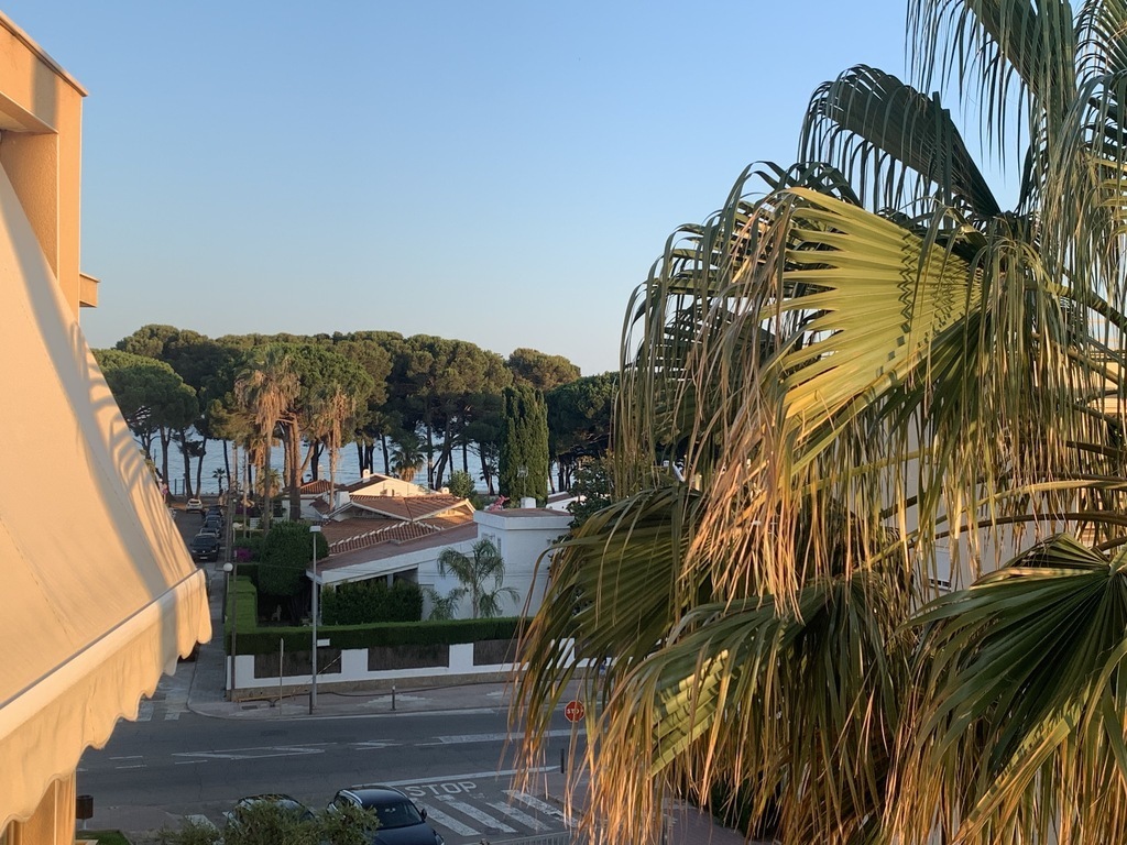 Vistas desde el salón 