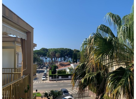 Vistas desde el salón