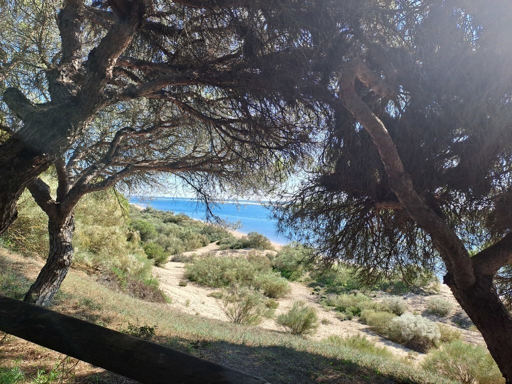 Path alongside the beach