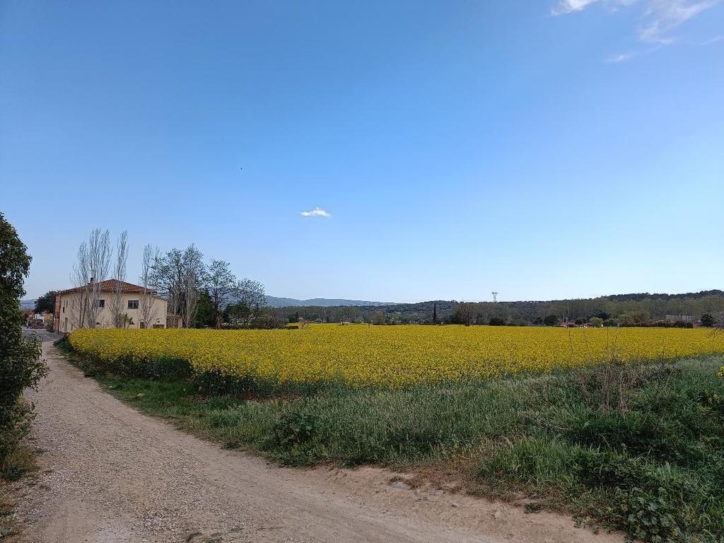 ELS CAMPS DEL DAVANT