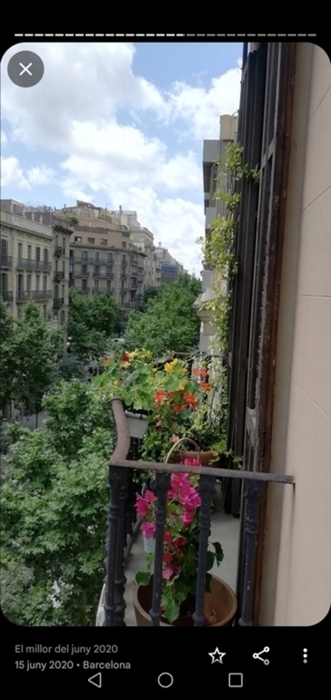 View from the balconny