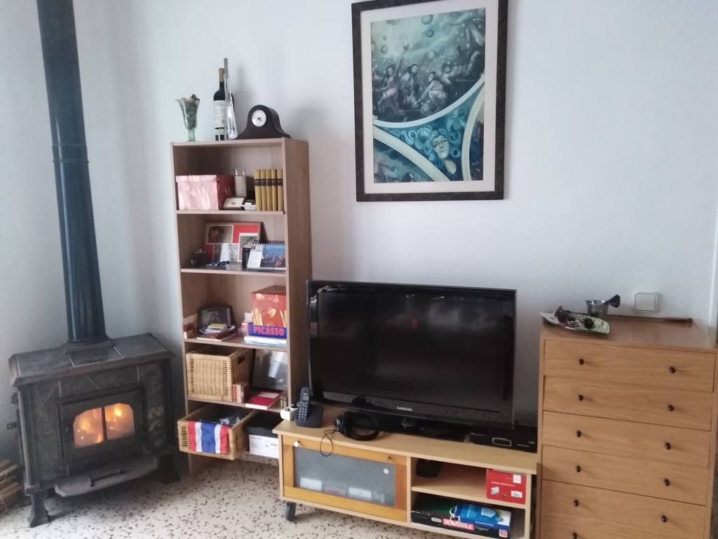 Sala con chimenea y aire condicionado - Living room with fire place and air condition