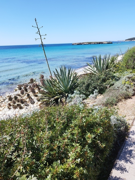 Costa Sur - South Coast