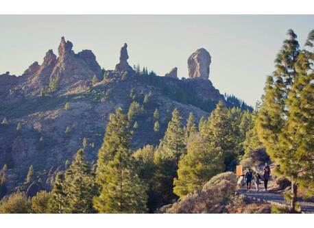 Roque Nublo
