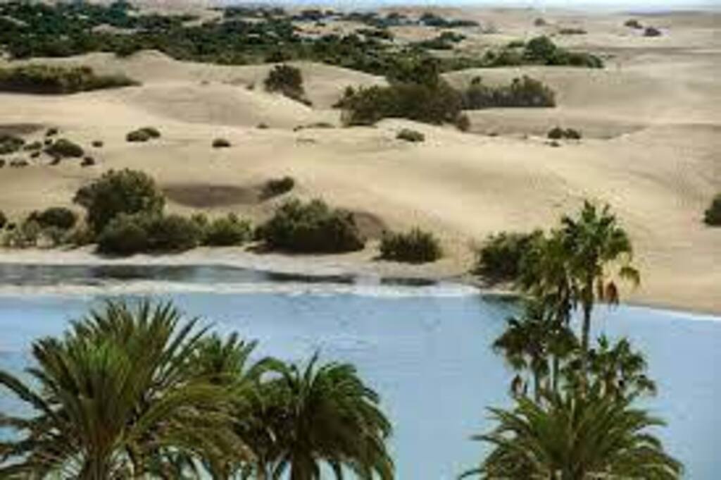 Charca de Maspalomas