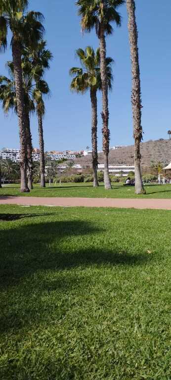 Maspalomas 15 minutos en coche 🚗