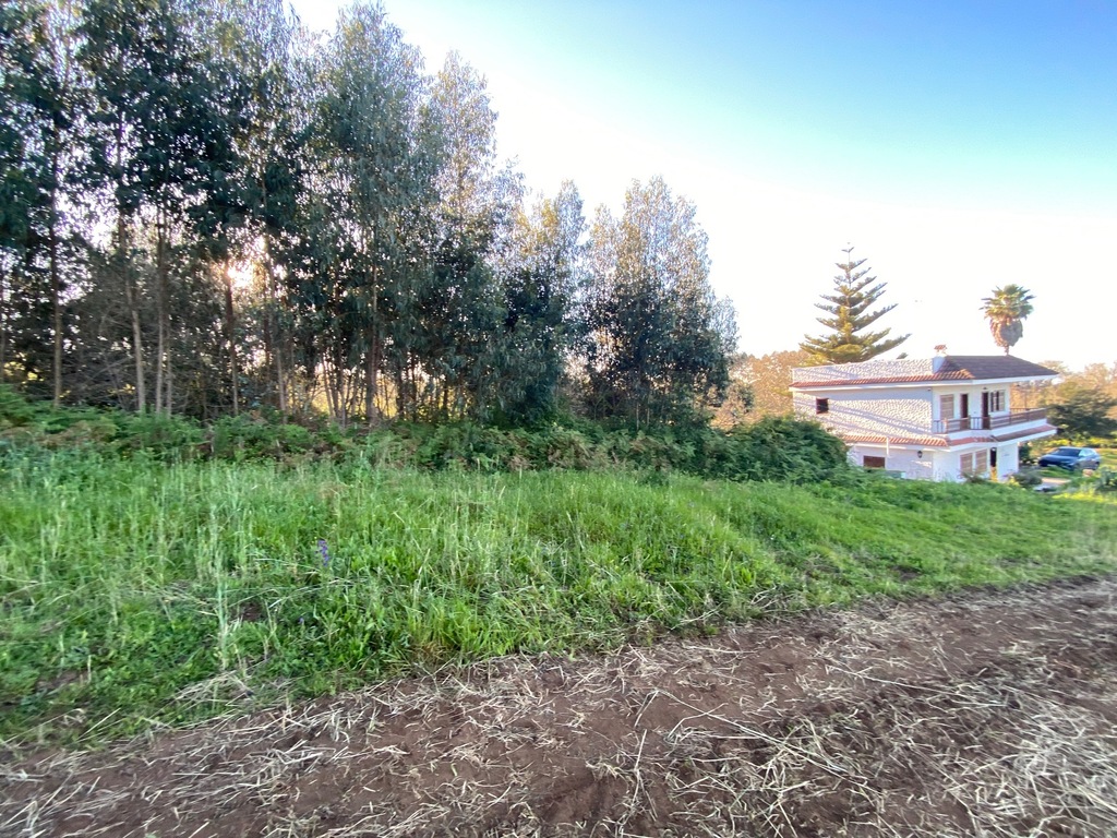 Vista de los alrededores de la casa