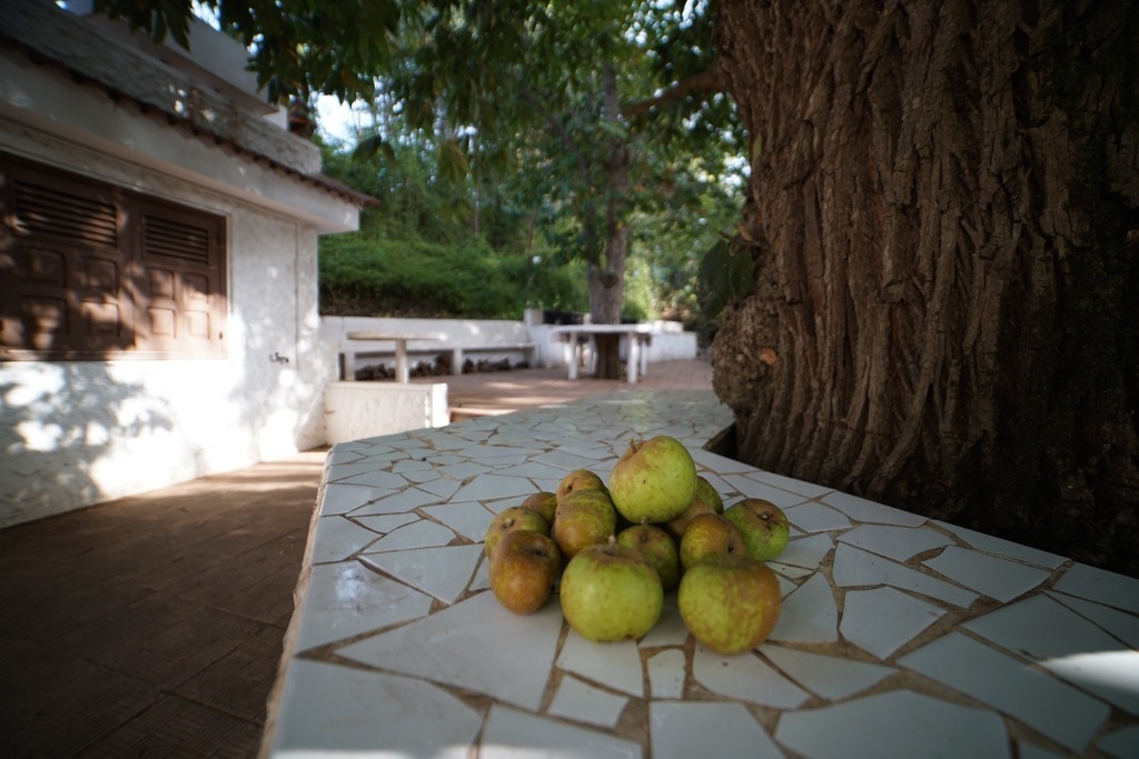 Patio inferior de la planta baja