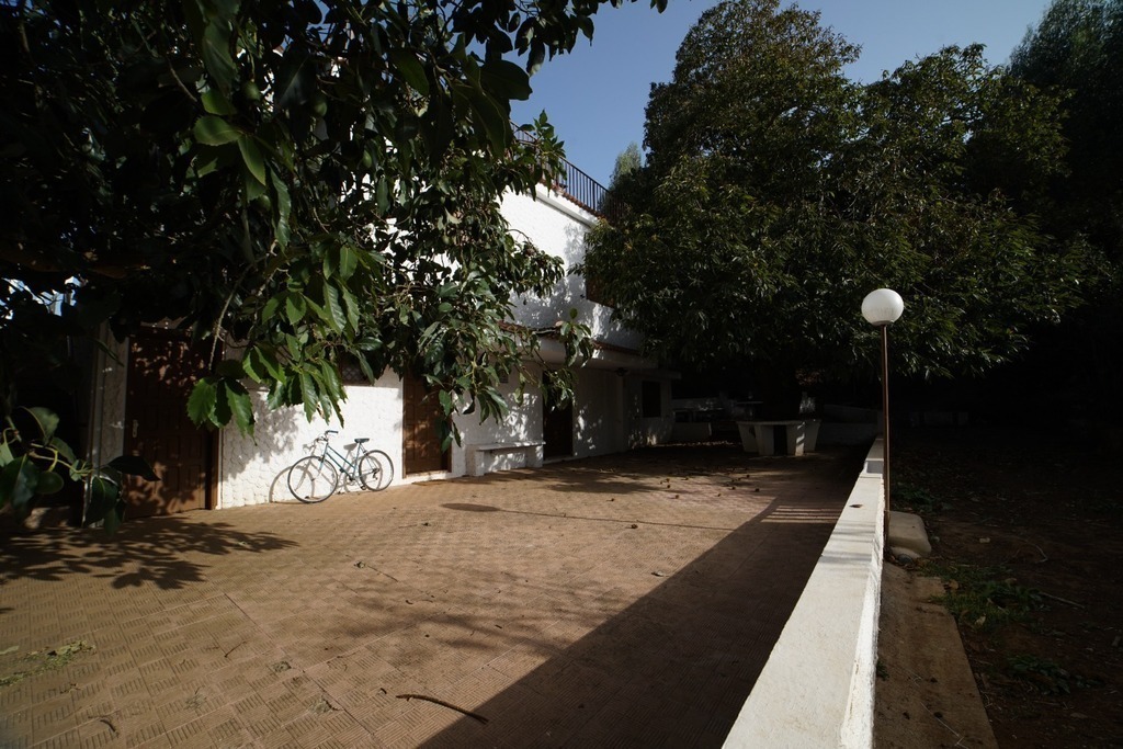 Patio inferior de la planta baja