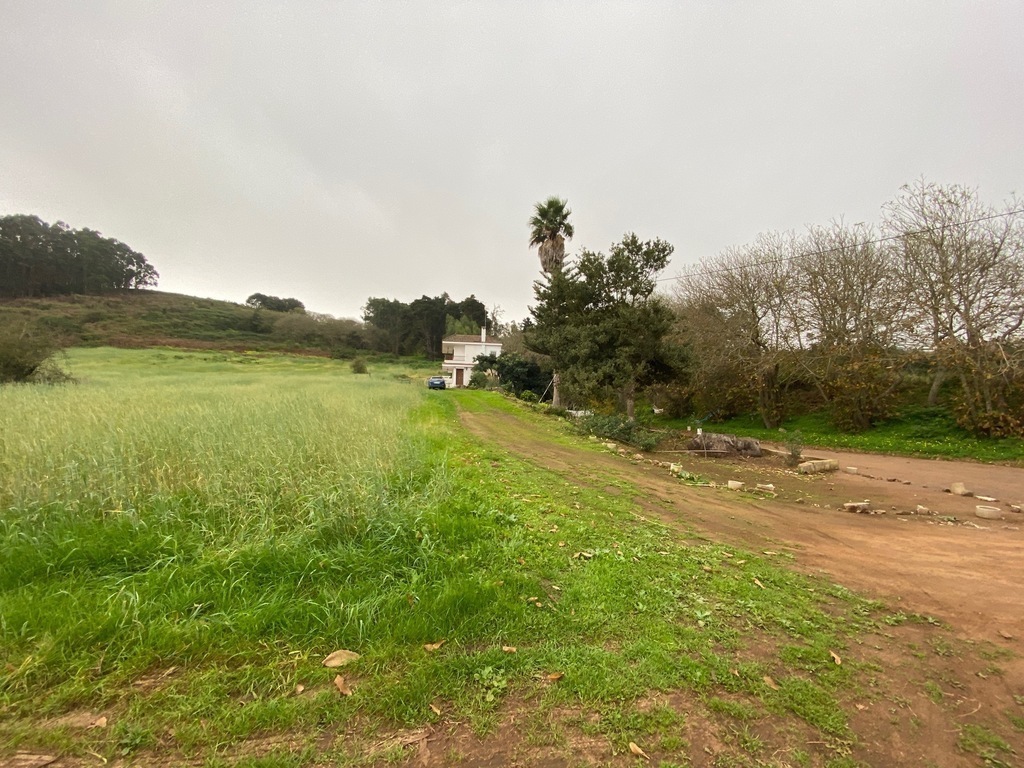 Vista de los alrededores de la casa