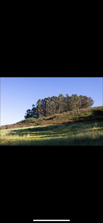 Vistas desde la terraza delantera de la vivivenda
