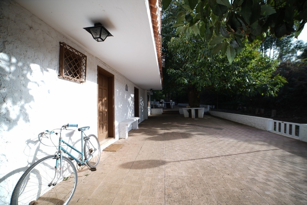 Patio inferior de la planta baja