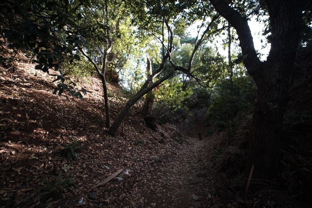 Barranco que atraviesa la finca