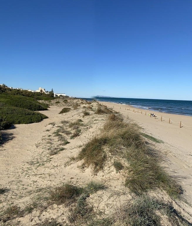 Playa de Piles, 1km