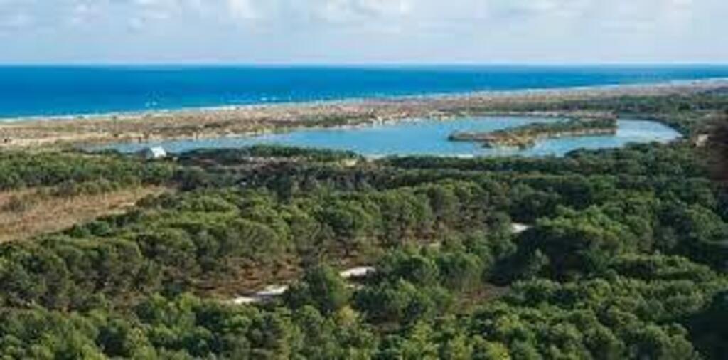 Parc Natural de l'Albufera, El Saler, València