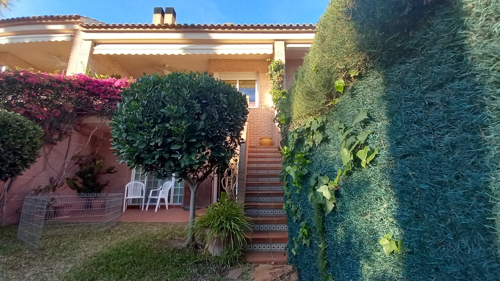 View from the garden