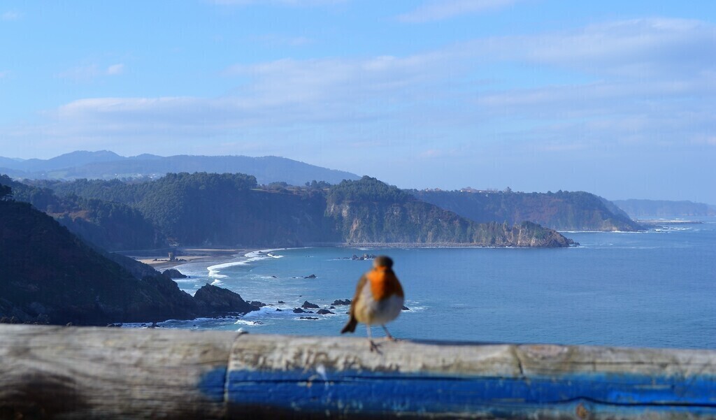Playas y Costa de Muros.