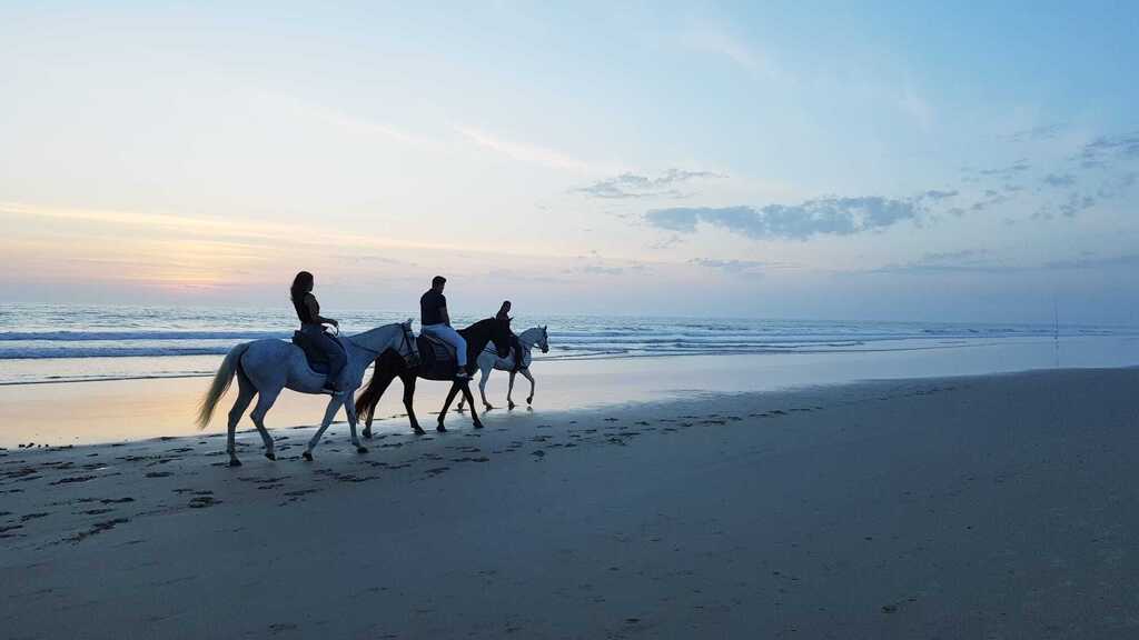 Posibilidad de hípica y paseos a caballo por la playa.