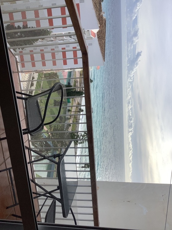 View from the terrace