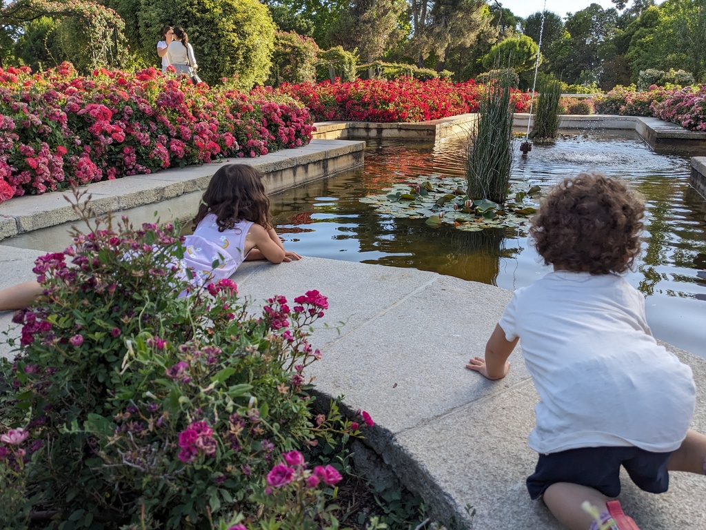 Rosaleda - Retiro