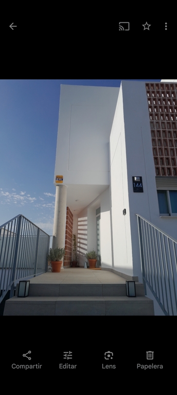 Little Bird Belicena