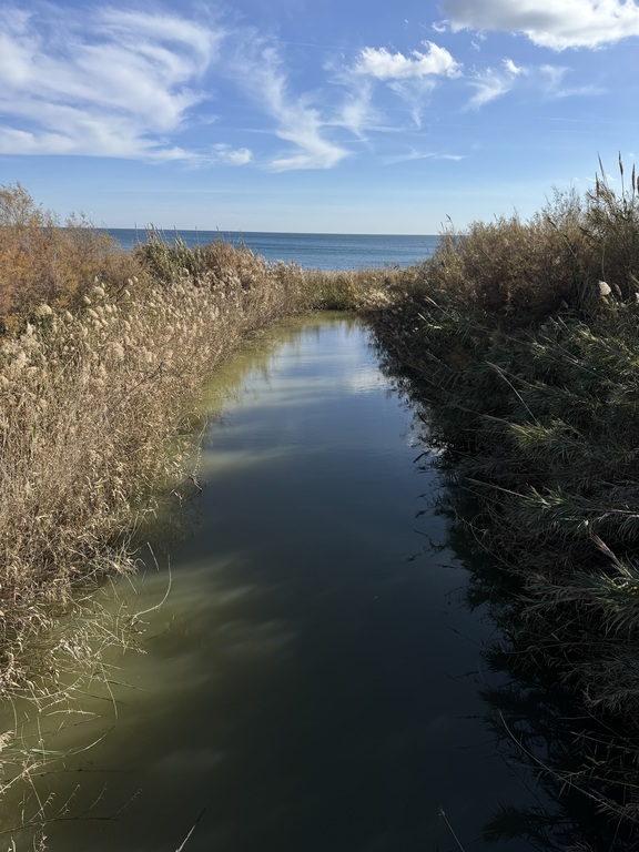 Casares Costa, river.