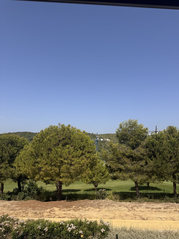 Views from the terrace 