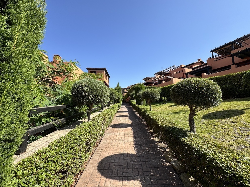 Gardens of the urbanization