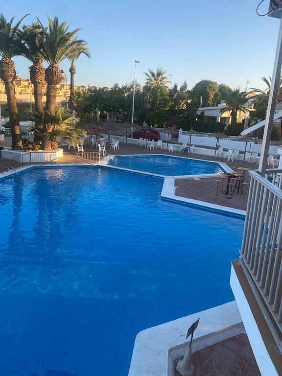 Vista de la piscina: piscina de adultos y piscina infantil