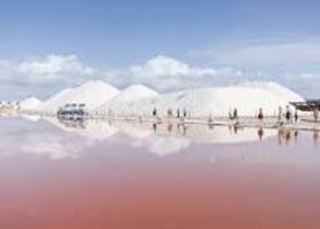 Salinas de Torrevieja
