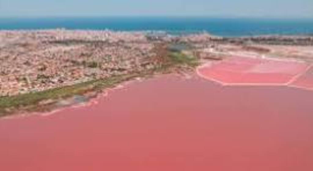 Laguna Rosa. Salinas de Torrevieja