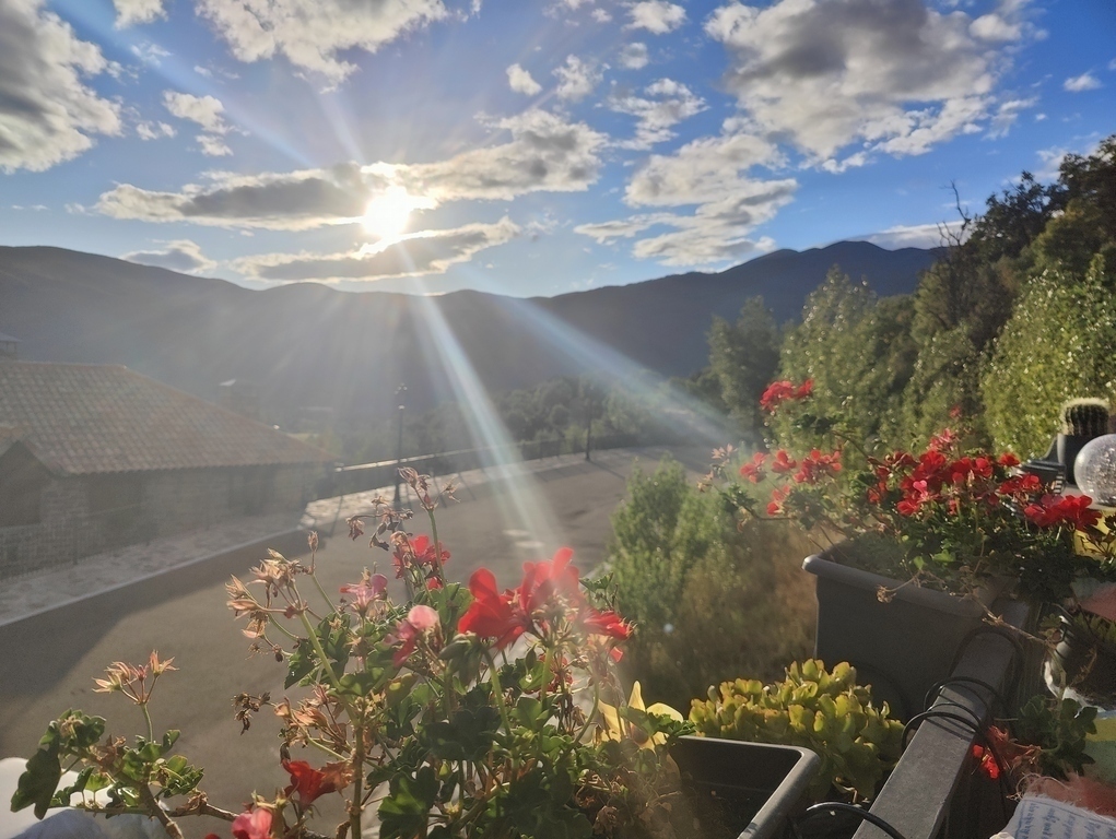 Vistas desde la terraza