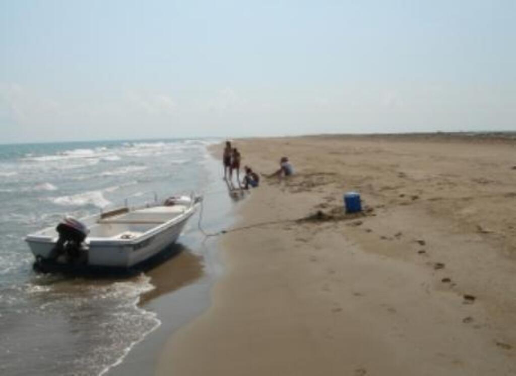 Beach at Delta de L'Ebre