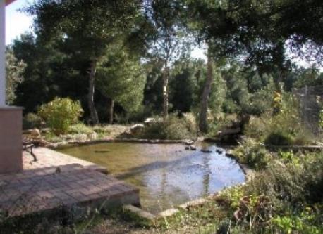 The pond in the west