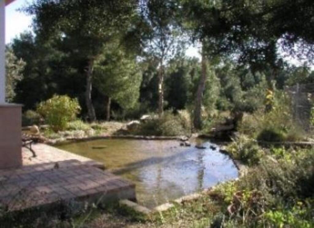 The pond in the west