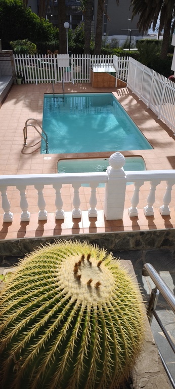 Piscina y jardines comunitarios.
