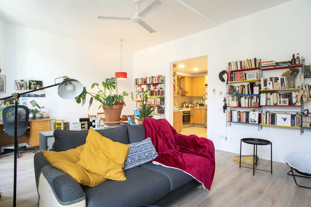 Living room / Sofa bed