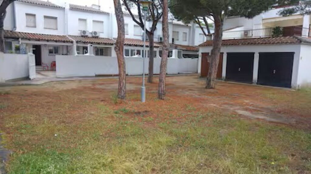 Pinar comunitario. 