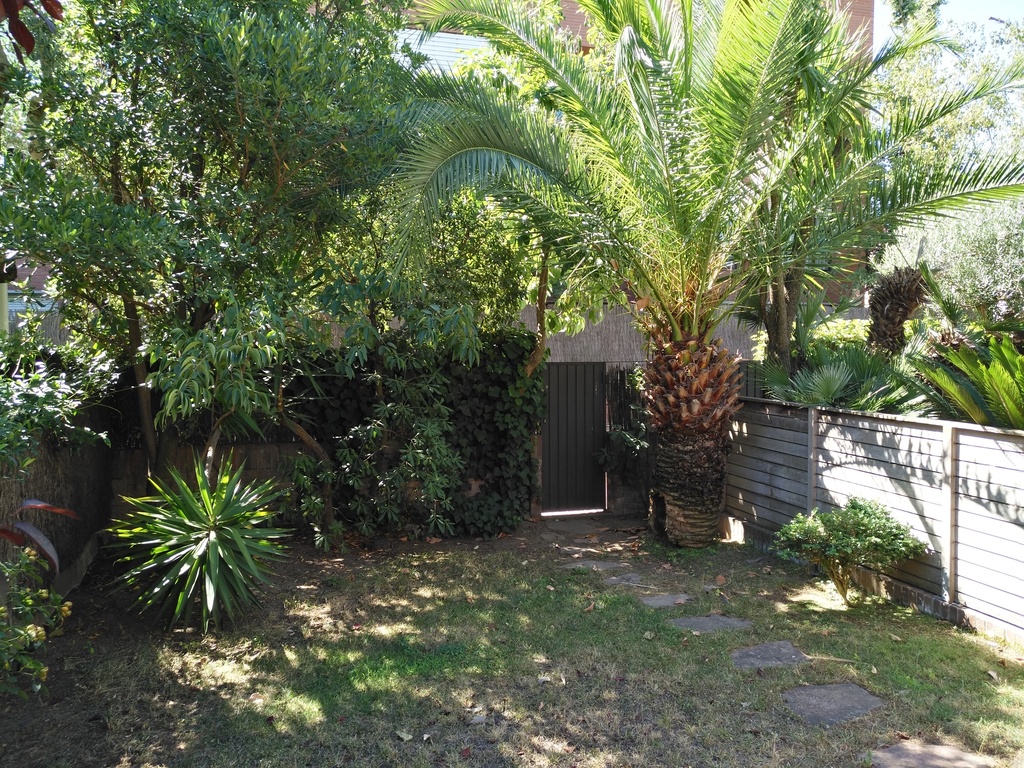 Jardín